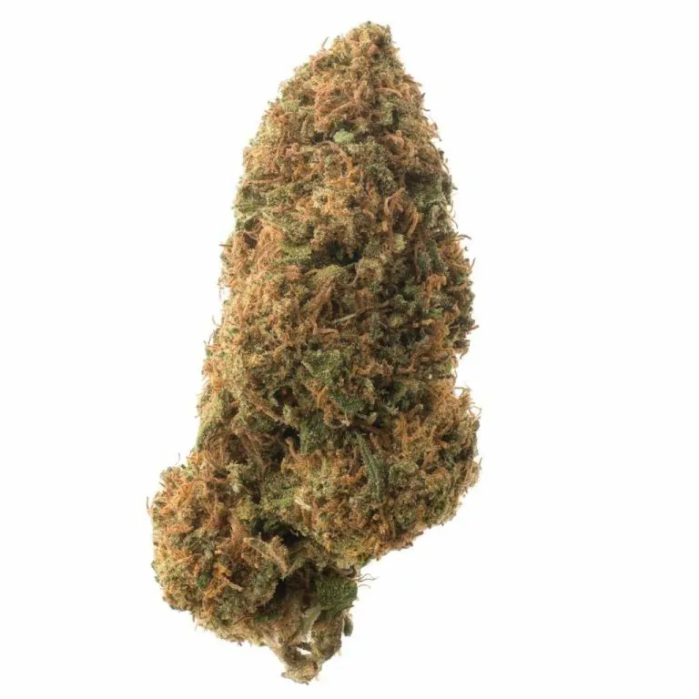 CBD Flower (H) Sour Lifter (Save 50%) / 28 Grams + Boveda
